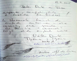 دیدگاه مهمان ها